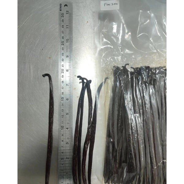 Vanilla Planifolia Beans Grade A Seal Vacuum 1 KG